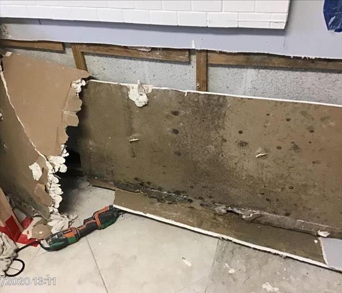 Kitchen storage is removed and mold is shown 