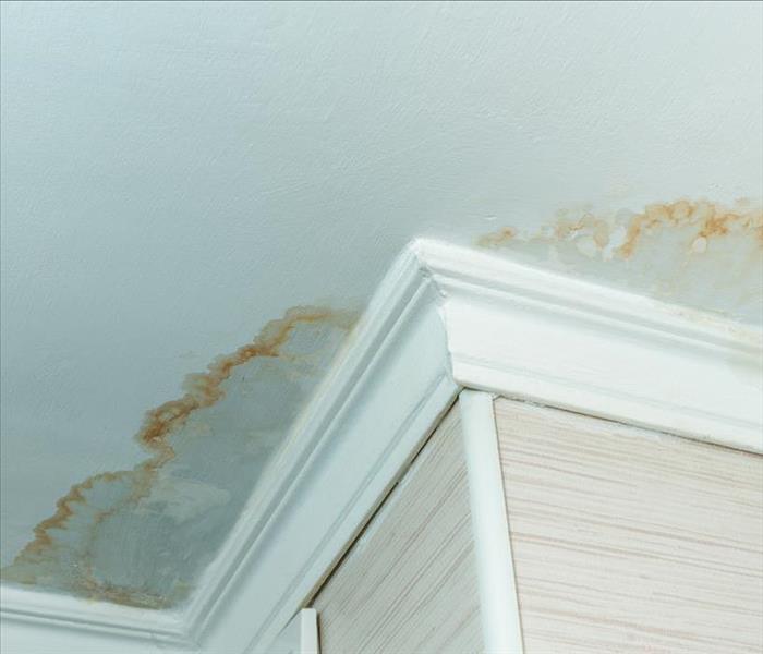 water stains and mold damage on ceiling
